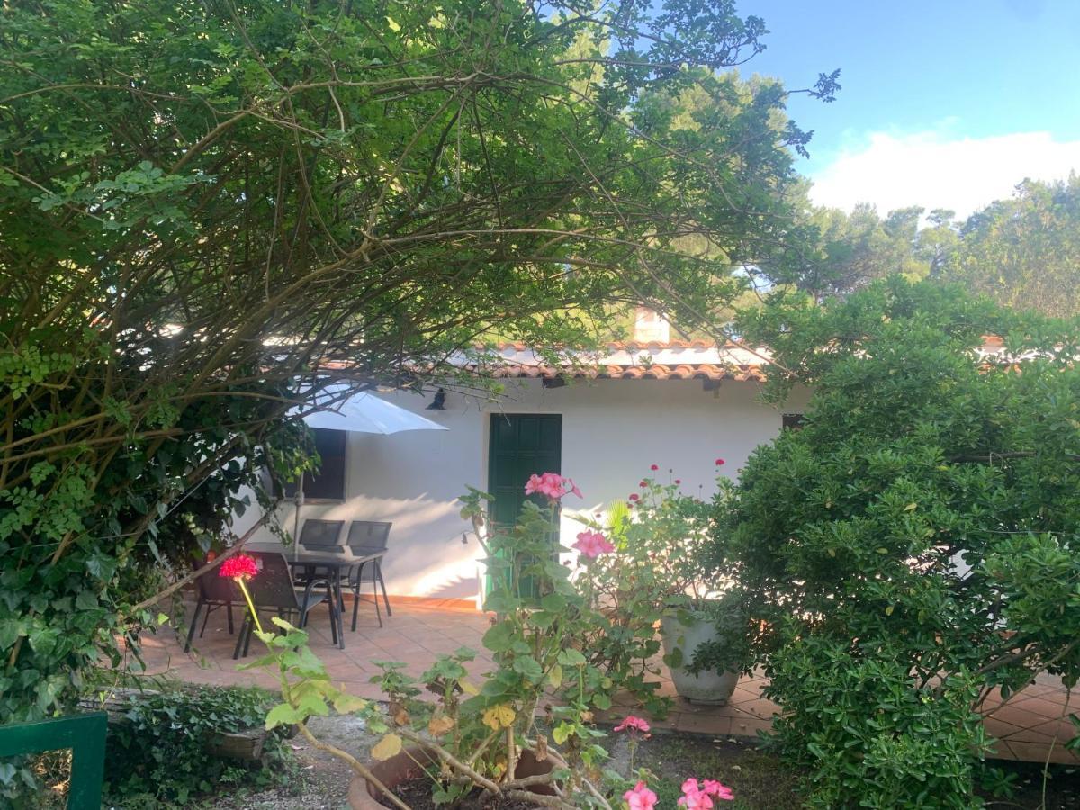 Villa Giulia เลชเช ภายนอก รูปภาพ